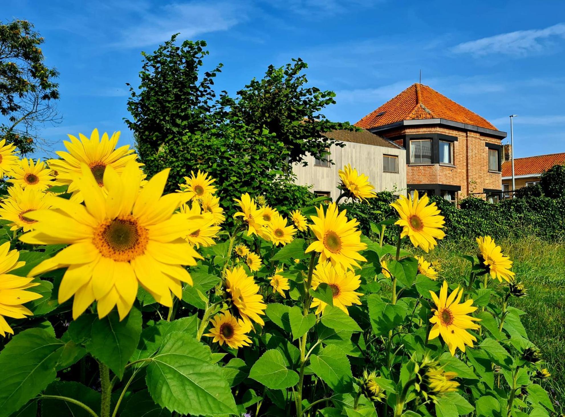 Сasa de vacaciones Louiselotte Alveringem